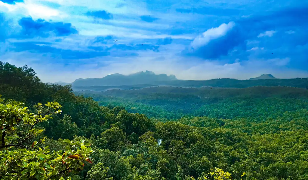 Deciduous Forests SATPURA MOUNTAIN RANGE AND PACHMARHI Deciduous Forests SATPURA MOUNTAIN RANGE AND PACHMARHI