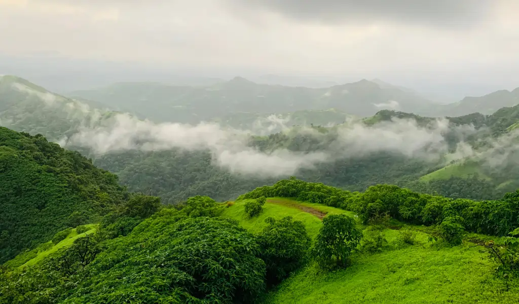 Tropical Rainforests Mountain at Amba ghat, western ghats, maharashtra, india Tropical Rainforests Mountain at Amba ghat, western ghats, maharashtra, india