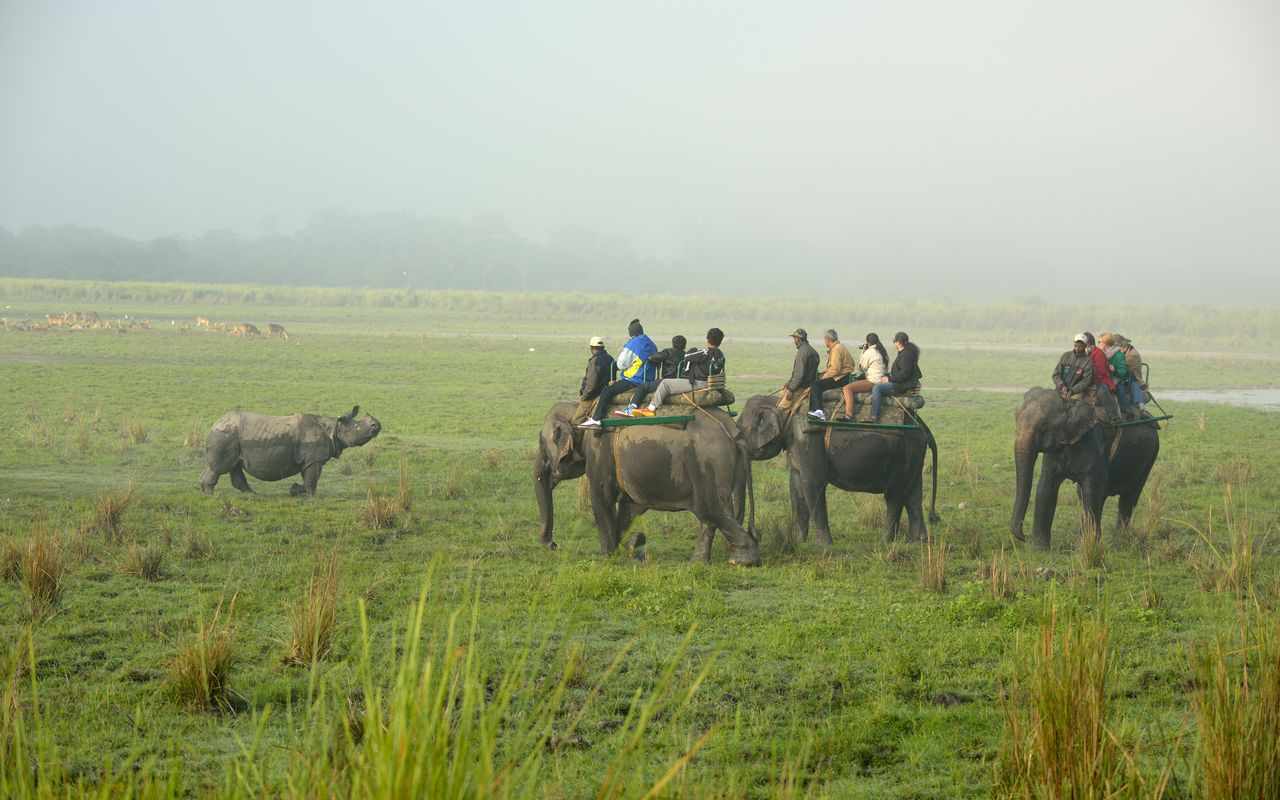 Elephant back safari in Kaziranga National Park