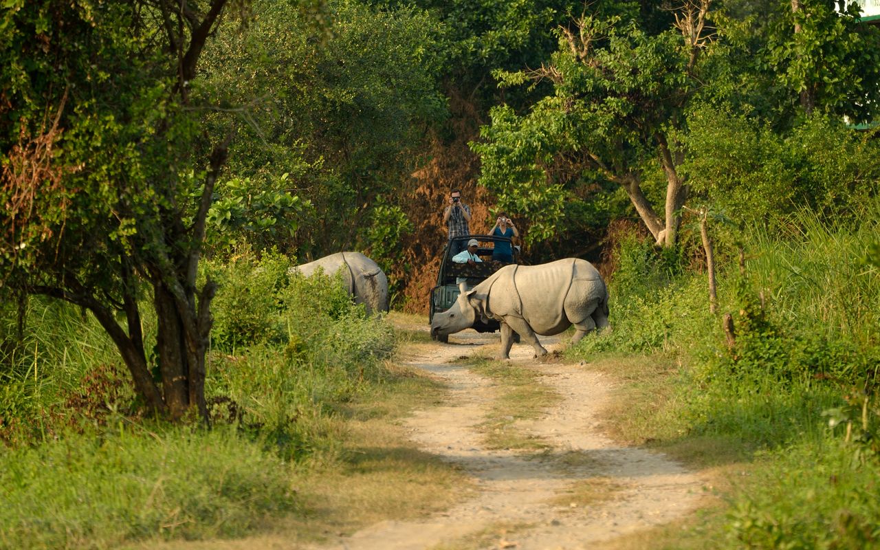 Kaziranga Natioanl Park Rhino Conservation in India